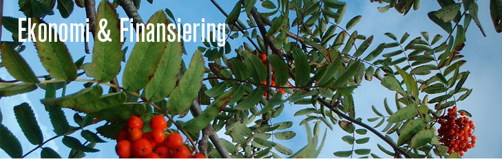 Ekonomi & Finansiering