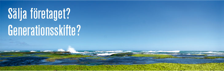 Sälja företaget? Generationsskifte?